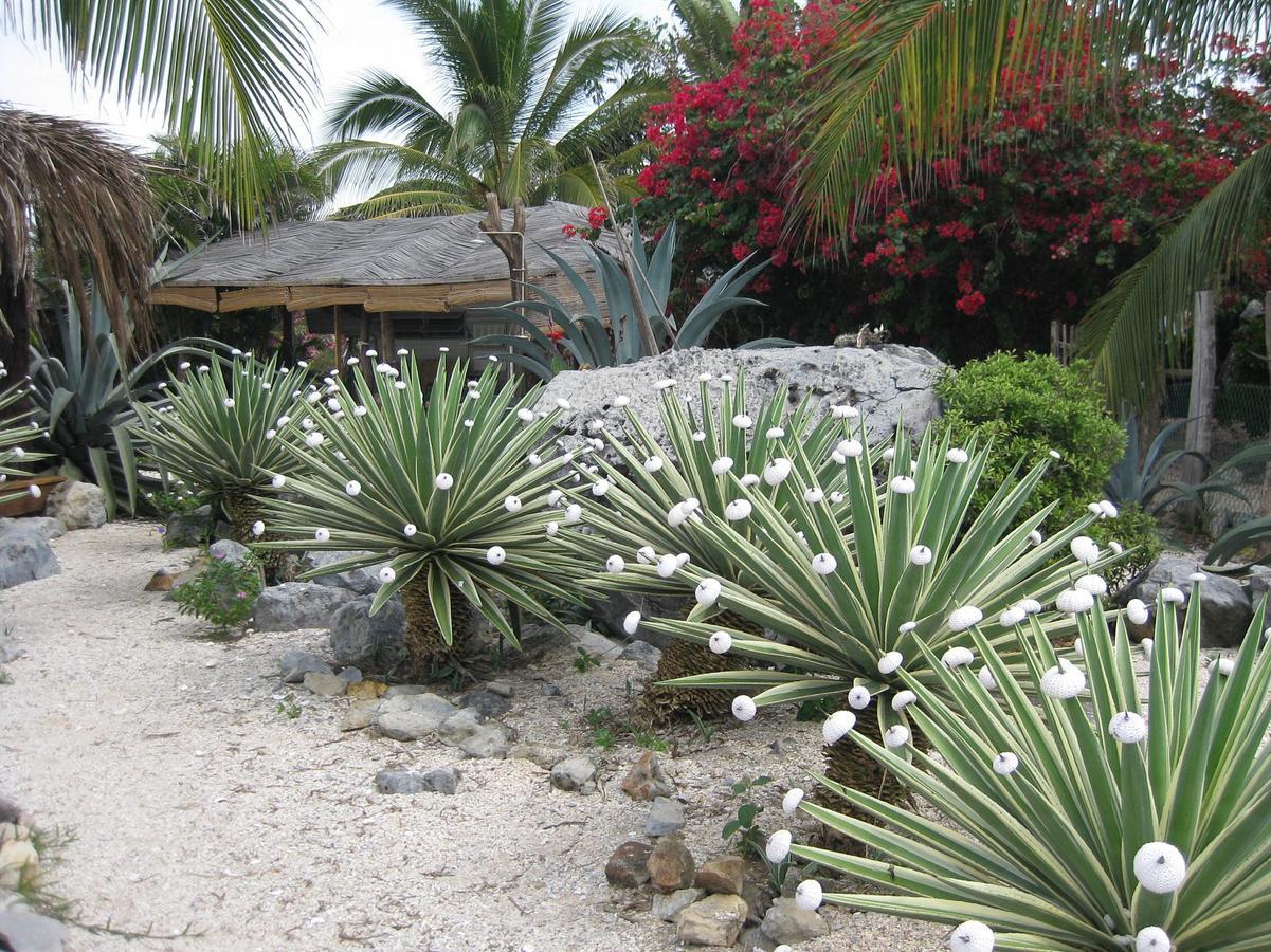 Casa Las Piedras Panzió Troncones Kültér fotó